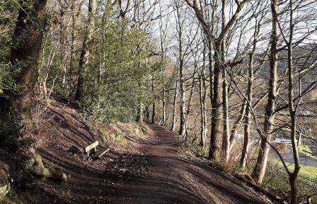 Path in Redacre Wood